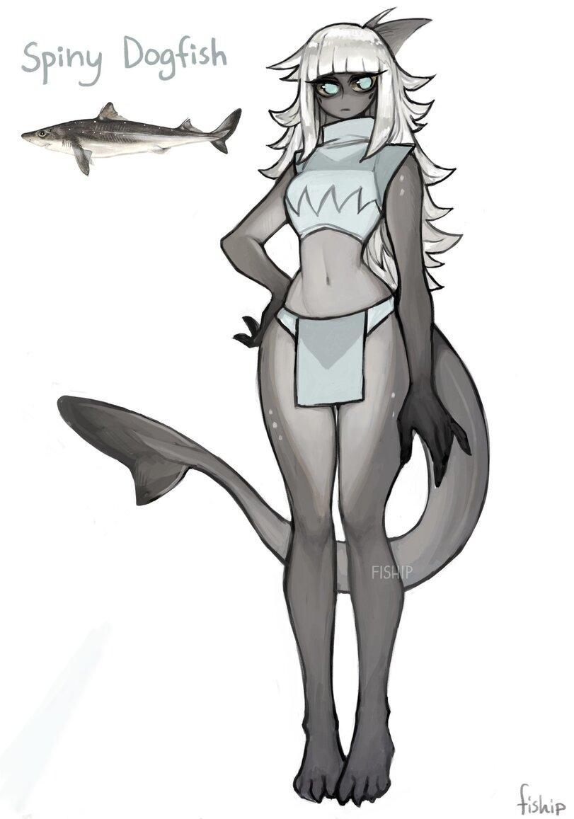 Matilda Fiship,artist,арт девушка,art,арт,Monster Girl,Monster Musume, Mamono Musume, monmusu,хуманизация,humanization,Fish Girl,Fish Girl, Fishgirl,Shark Girl,Shark Girl, Акулобаба