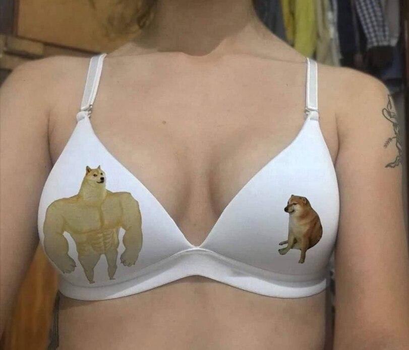 NSFW,Бюстгальтер,doge,Doge Lore,Мемы,Мемосы, мемасы, мемосики, мемесы