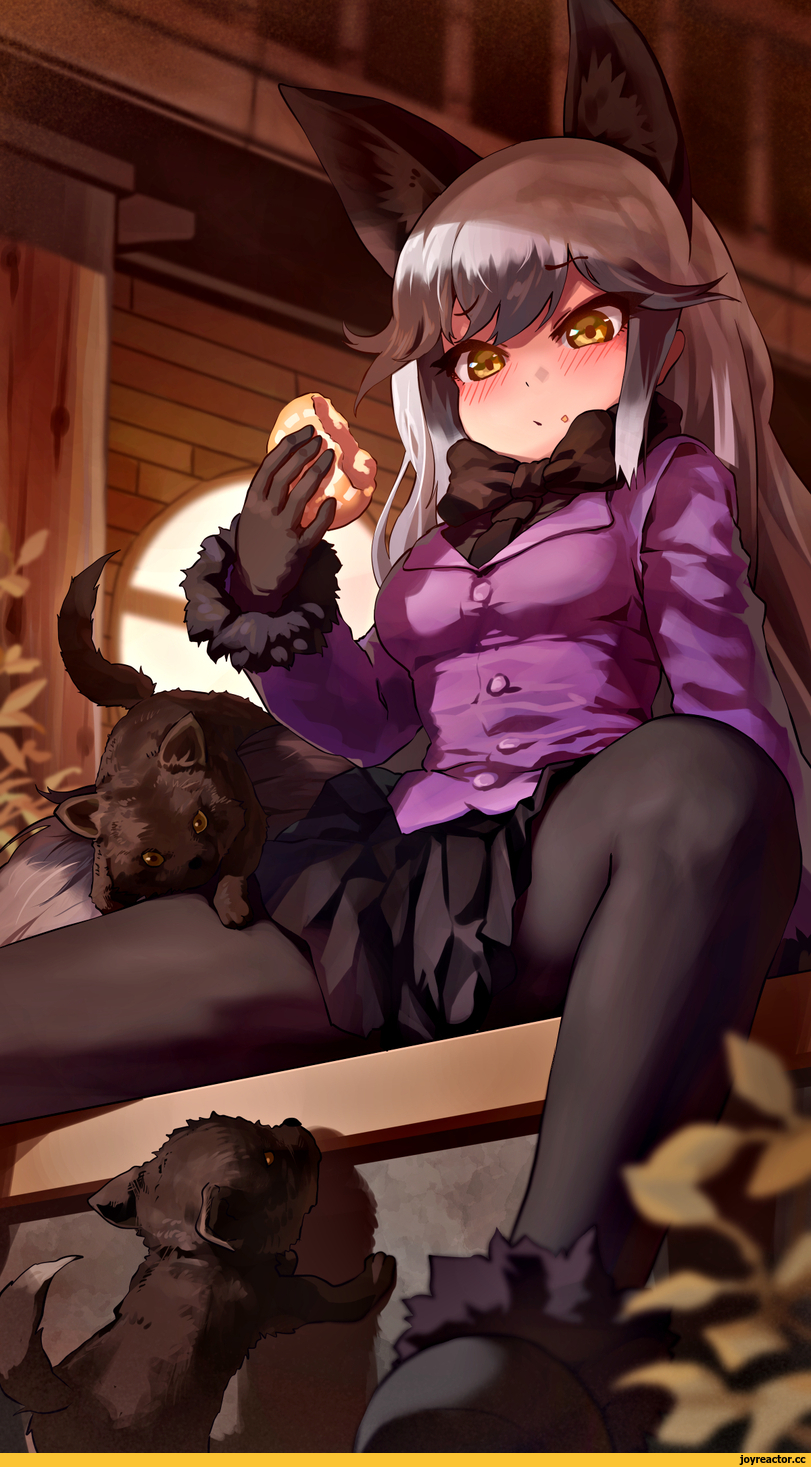 Silver Fox (Kemono Friends),Kemono Friends,Anime,Аниме,фэндомы,melaton,Anime Artist,Аниме арт, Аниме-арт,artist,Animal Ears,silver fox (kemono friends),kemono friends,Anime,fandoms,melaton,Anime Art,artist,Animal Ears,Anime Unsorted,Anime Unsorted