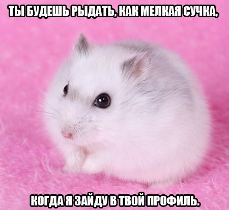 anon,пригоревшая шлюшванда
