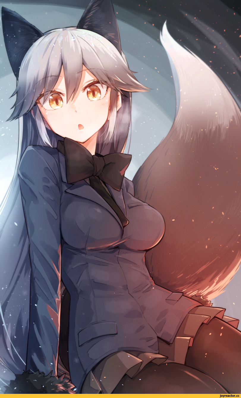 pixiv id 12155158,Silver Fox (Kemono Friends),Kemono Friends,Anime,Аниме,фэндомы,Kitsunemimi,Animal Ears (Anime),Kemonomimi, Девушки с ушками, Anime Ears,pixiv id 12155158,silver fox (kemono friends),kemono friends,Anime,fandoms,Kitsune,Animal Ears,Anime Unsorted,Anime Unsorted