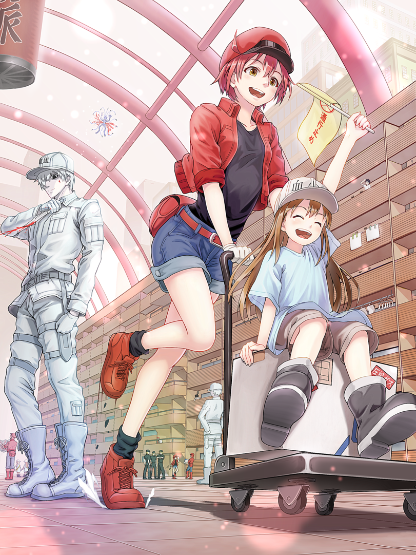 sato seitaka,Anime,Аниме,Platelet (Hataraku Saibou),Тромбоцит, Kesshouban,Hataraku Saibou,White Blood Cell (Hataraku Saibou),Лейкоцит U-1146, Hakkekkyuu U-1146,Red Blood Cell (Hataraku Saibou),Эритроцит AE-3803, Sekkekkyuu AE3803,Anime Artist,Аниме арт, Аниме-арт,sato seitaka,Anime,fandoms,platelet